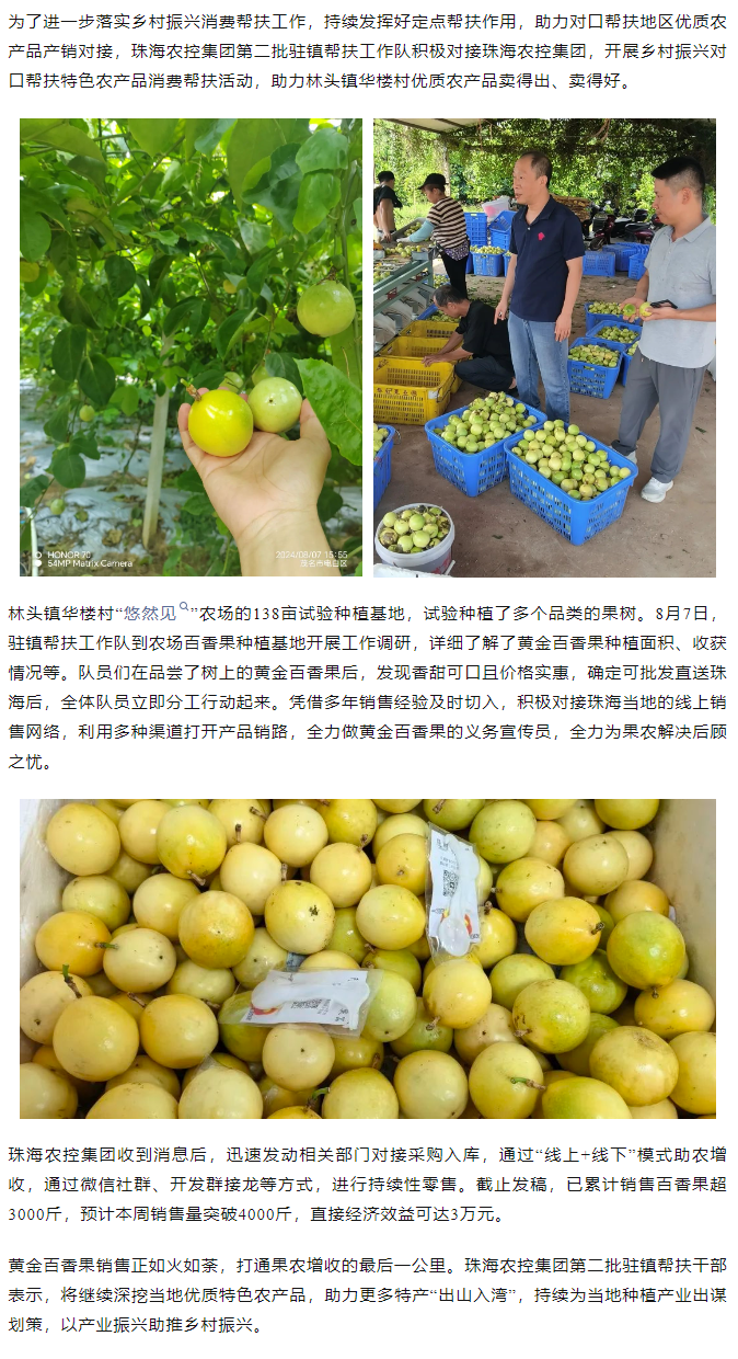 珠海c7官方官网登录入口集团助力产销对接 对口帮扶果香飘百里.png